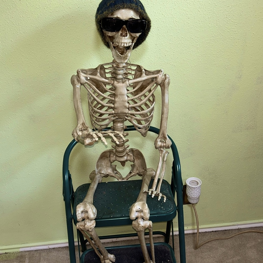Shelly Tone the background skeleton - Picture 1 of 1